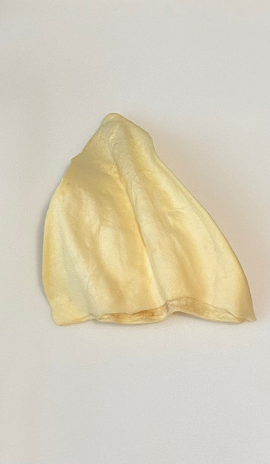 Cow Ear Dog Treat