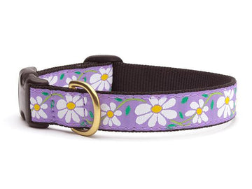 Collars