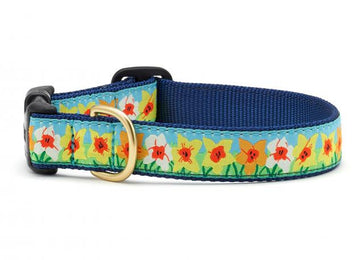 Up Country daffodil dog collar